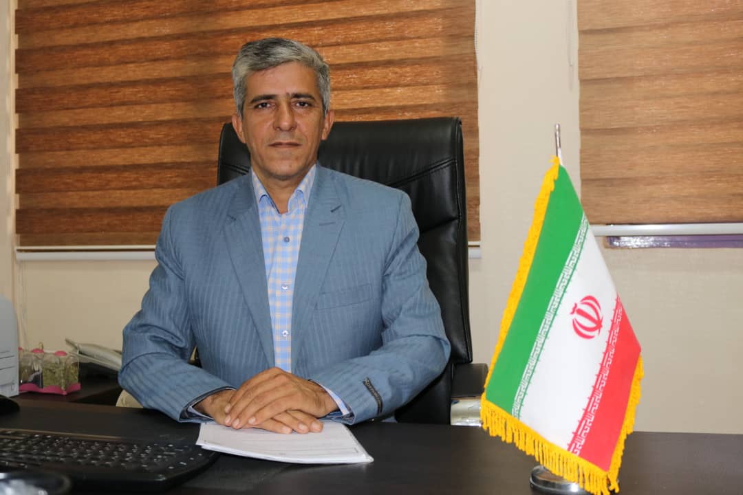 کشاورزان جنوب کرمان از کاشت بی رویه گوجه فرنگی خودداری کنند