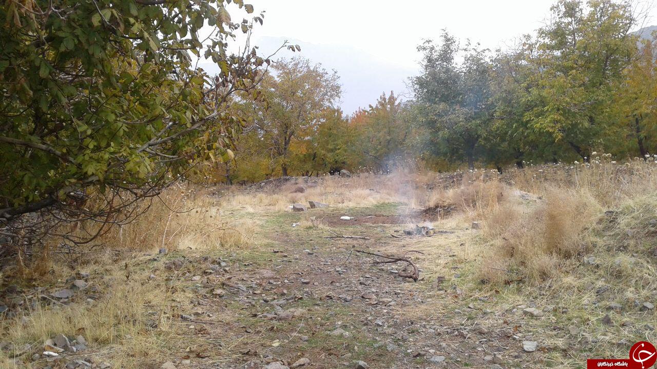 نمایی از طبیعت پاییزی در روستای فور + تصاویر