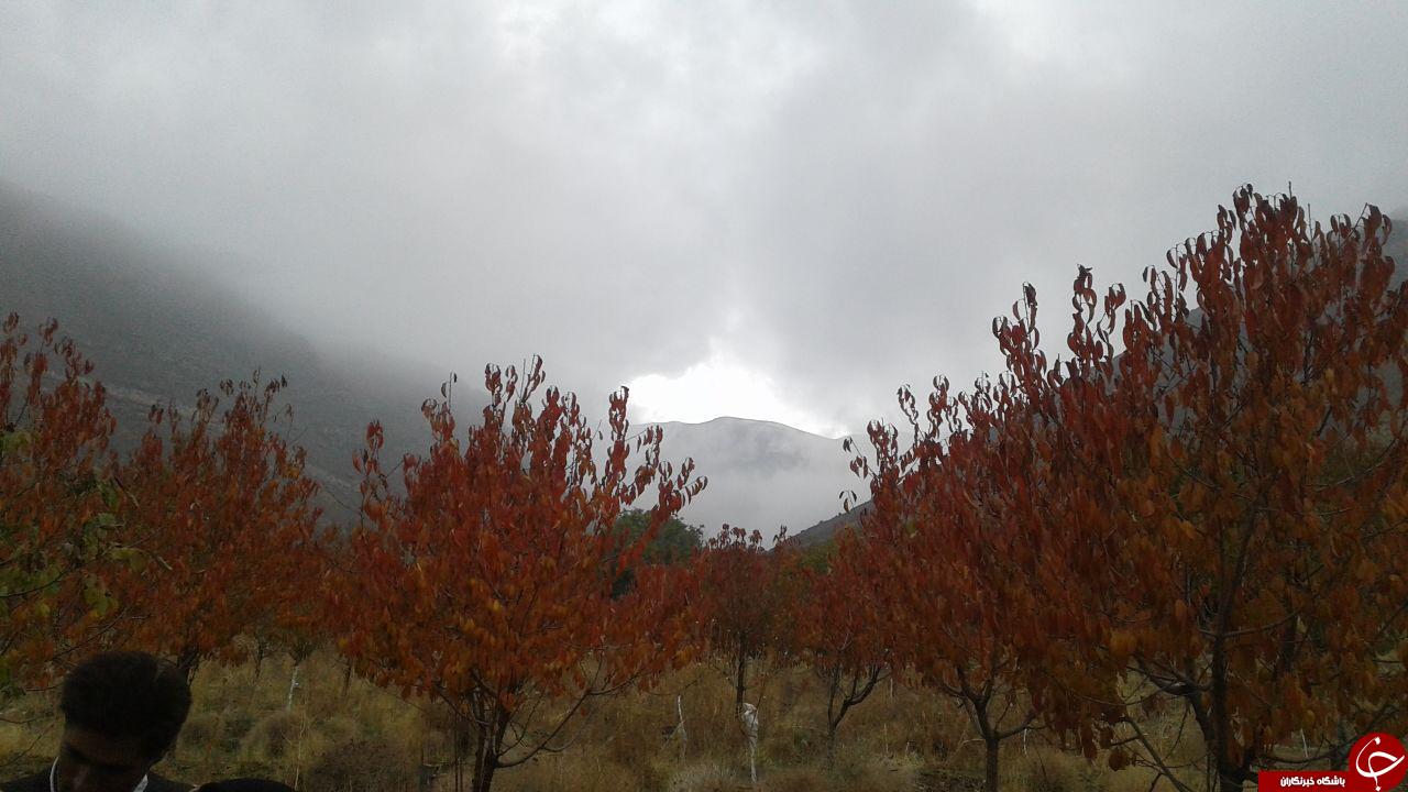 نمایی از طبیعت پاییزی در روستای فور + تصاویر