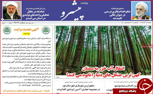 تیغ بانک مرکزی بر گلوی مجرمان نامرئی/ حماقتی که پایان ندارد