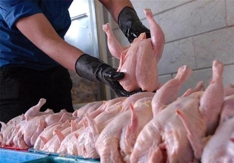 معدوم سازی 343 تن گوشت غیر قابل مصرف طیور در خراسان رضوی