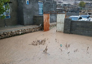 بارندگی، منازل اهالی "گردوه" را پر از آب کرد! + فیلم