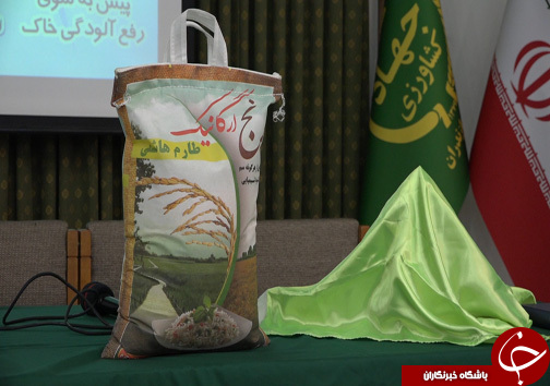 رونمایی از برند یک برنج ارگانیک در مازندران + تصاویر