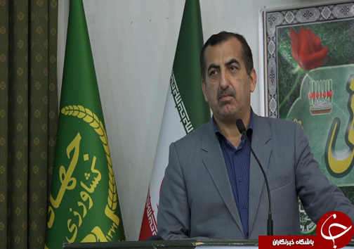 رونمایی از برند یک برنج ارگانیک در مازندران + تصاویر