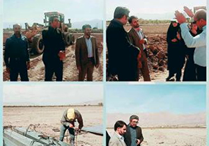 ساخت نخستین روستای گلخانه‌ای در کوار