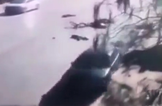 کشته و زخمی شدن 23 دانش آموز در تصادف با خودرو + فیلم
