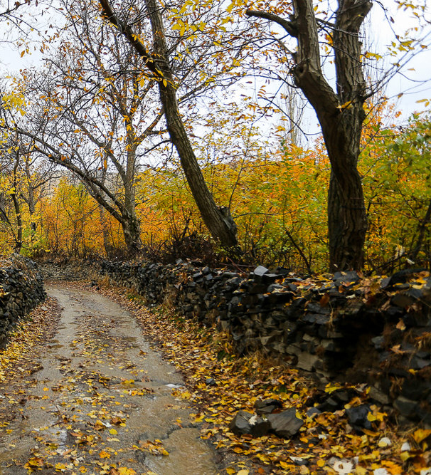 تصاویری زیبا از کوچه باغ&zwnj;های پاییزی گنجنامه