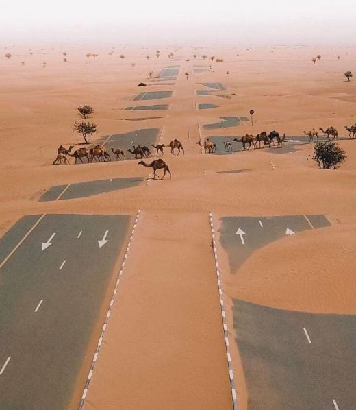 تصویری جالب از نبرد طبیعت و انسان
