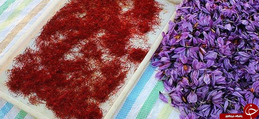 چقدر زعفران صادر کنیم تا درآمدی همانند صادرات نفت داشته باشیم؟