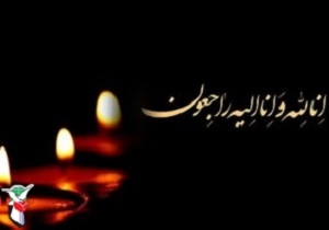همسر شهید خداداد یاری آسمانی شد
