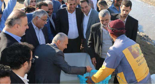 صنعت پرورش میگوی کشور توسعه می یابد