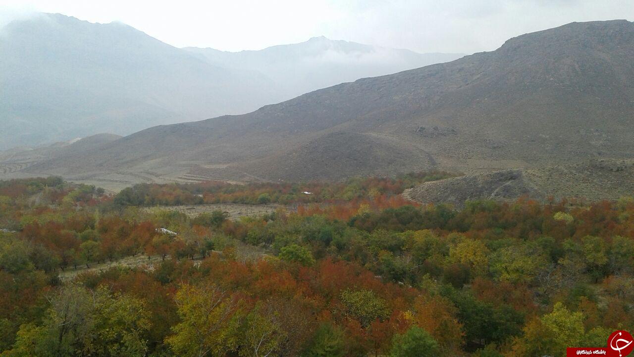 حال و هوای فصل پاییز در روستای فور + تصاویر