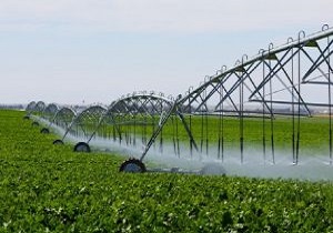 ۲۹۰ میلیارد ریال کمک رایگان دولت جهت اجرای طرح‌های آبیاری نوین