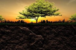 شناسایی مخلوقات سحرانگیز چند میلیون ساله در عمق کره زمین