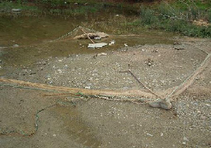 شکارچی متخلف در بوکان دستگیر شد