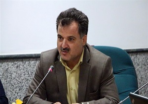 توزیع ۵ تن گوشت منجمد وارداتی