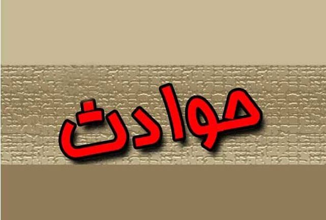 نجات 100 مار از میان شعله&zwnj;های آتش