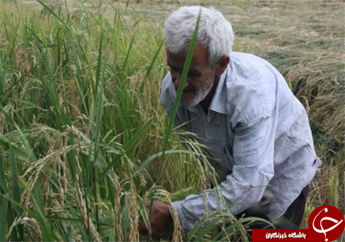 نگاهی گذرا به مهمترین رویداد&zwnj;های سه شنبه ۲۰ آذر ماه در مازندران