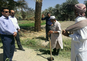 تعداد کاربران تهک کشاورزی در سیستان و بلوچستان ۴۰ برابر شد