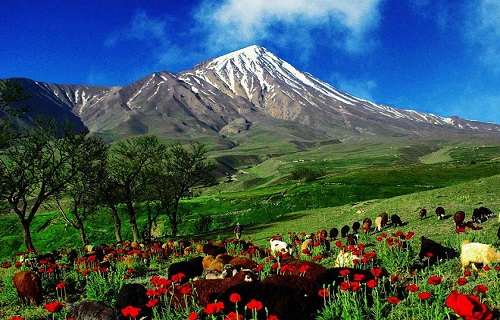 + تست روانشناسی