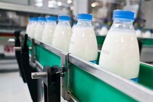 تولید بیش از یک میلیون تن شیر در استان اصفهان