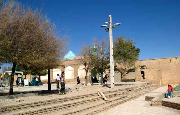 بزرگ&zwnj;ترین جنگل مصنوعی جهان کجاست؟