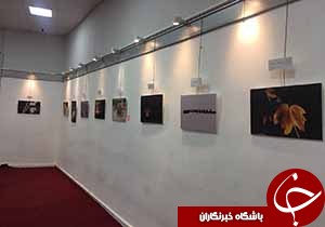برگزاری نمايشگاه عكس آفرينش در رشت