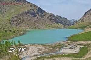 از نقش استان بوشهر در تعدیل قیمت گوجه تا جانی که قوم عرب به جان خاک ایران تقدیم کردند + فیلم