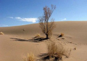 تولید نانومالچ طبیعی برای نخستین بار در کشور