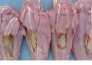 روشنگری اداره کل دامپزشکی آذربایجان غربی در خصوص دلیل سبز شدن عضله سینه مرغ