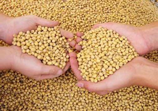 نگاهی گذرا به مهمترین رویداد&zwnj;های پنج شنبه ۲۲ آذر ماه در مازندران