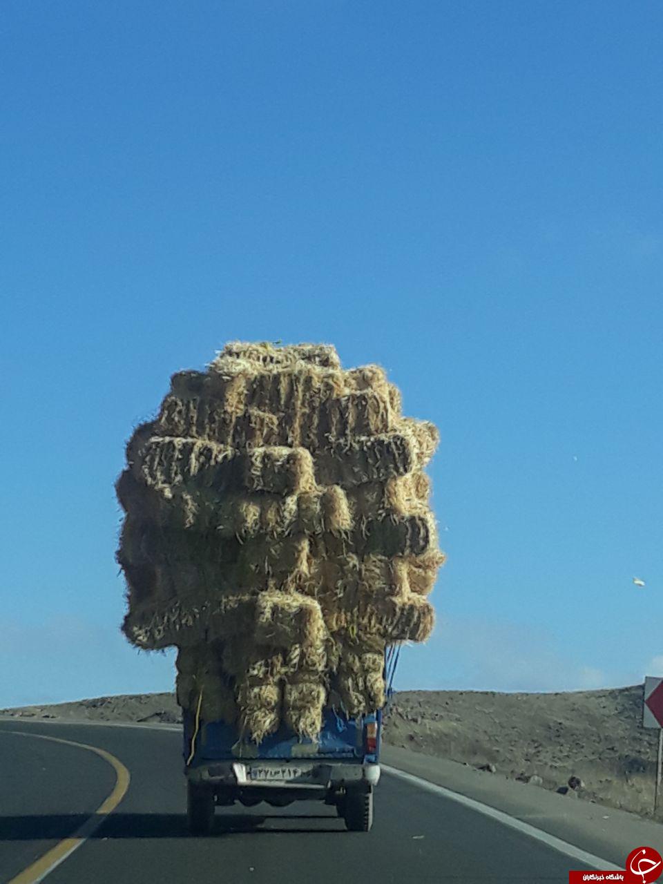 حمل بار غول&zwnj;آسا با نیسان! + تصاویر