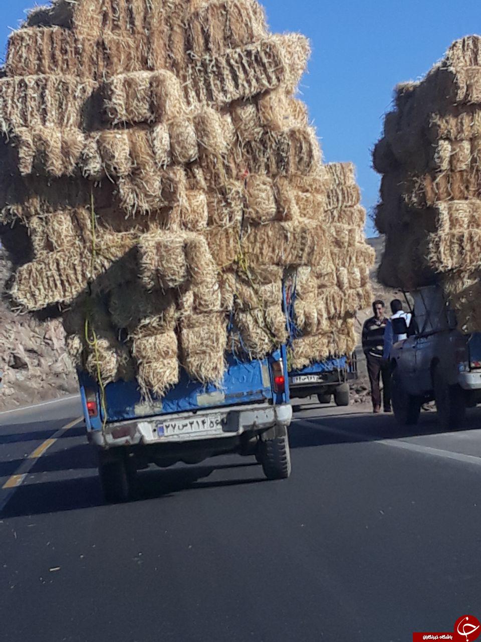 حمل بار غول&zwnj;آسا با نیسان! + تصاویر