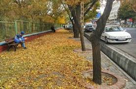 تولید خاک غنی شده توسط برگهای پاییزی در مشهد تولید خاک غنی شده توسط برگهای پاییزی در مشهد