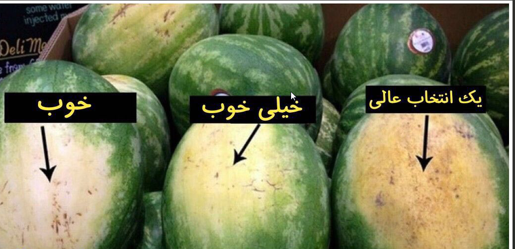 ترفندی ساده برای خرید هندوانه&zwnj;ای خوب برای شب یلدا+ عکس