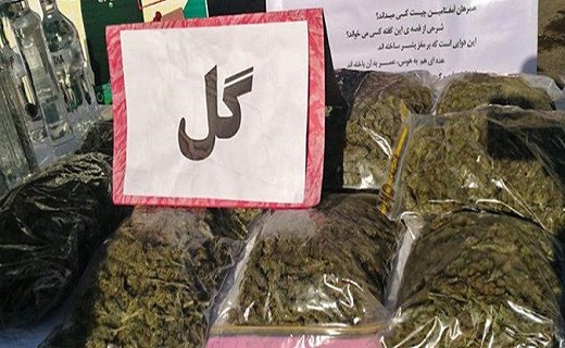 گرگی در لباس میش که به شما حمله می&zwnj;کند/ گُلی که حافظه کوتاه مدت شما را نشانه می&zwnj;رود/گُلی که گُل&zwnj;های زندگیتان را پر&zwnj;پر می&zwnj;کند