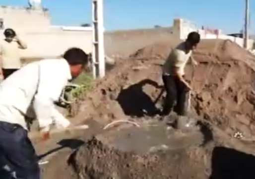 دستان کوچکی که دستان تهی دستان می&zwnj;گیرند + فیلم