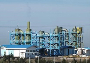 عملیات سرشماری هوبره در زیستگاه‌های طبیعی کنارک انجام شد