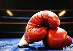 درخشش بوکسور کرمانشاهی در لیگ جهانی