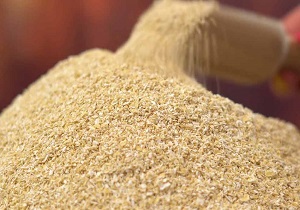 آغاز توزیع 500 تن جو علوفه ای در شرکت های تعاونی عشایری اردبیل