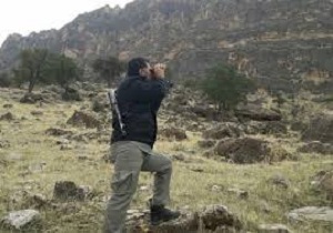 آغاز سرشماری پستانداران شاخص در پلدختر