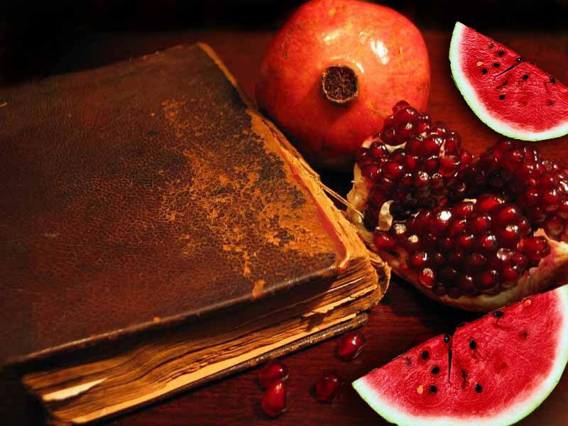 ویژه برنامه&zwnj;های شبکه دو سیما در بلندترین شب سال