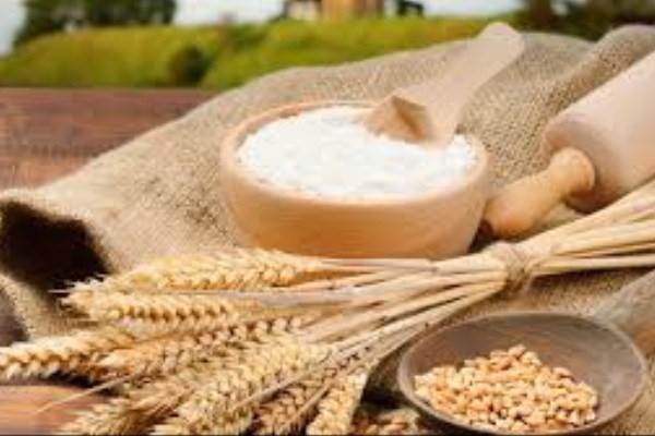 فاز اول غنی سازی آرد با ویتامینD در بیرجند اجرا شد