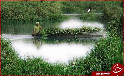 سفر زمستانی به جزیره زیبایی ها + تصاویر