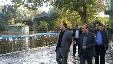 در اراضی ناژوان نزدیک به ۶۰۰ هزار اصله درخت وجود دارد