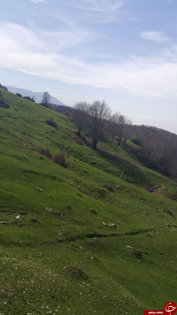 نمایی از طبیعت بی&zwnj;نظیر در &laquo;دیلمان&raquo; + تصاویر