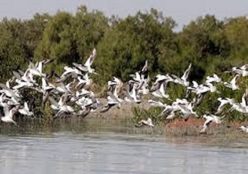 خطرناک&zwnj;ترین جای جاده چالوس کجاست؟/ کشف تریاک از چمدان 2 مسافر در مرز بازرگان/سفر زمستانی به جزیره زیبایی ها