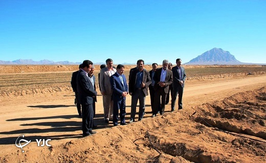 ایجاد اشتغال پایدار در مناطق روستایی تفت با کشت گیاهان دارویی