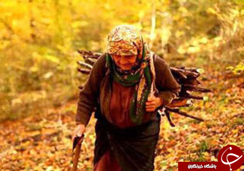 &nbsp;نگاهی گذرا به مهمترین رویداد&zwnj;های دوشنبه ۲۶ آذرماه در مازندران