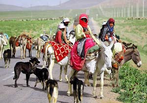 ورود بیش از ۸ هزار دام عشایر به مراتع رودان